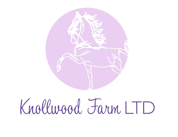 3 Day Summer Riding School