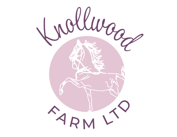 Summer Riding School