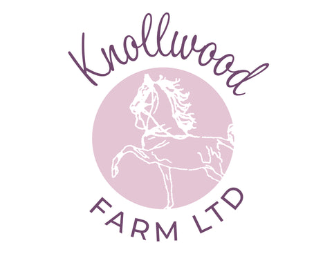 Summer Riding School